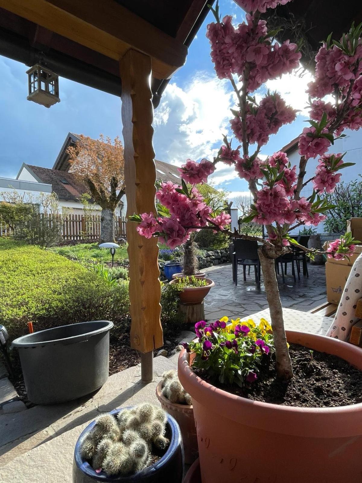 Zumglueckfrei Apartment พัสเซา ภายนอก รูปภาพ